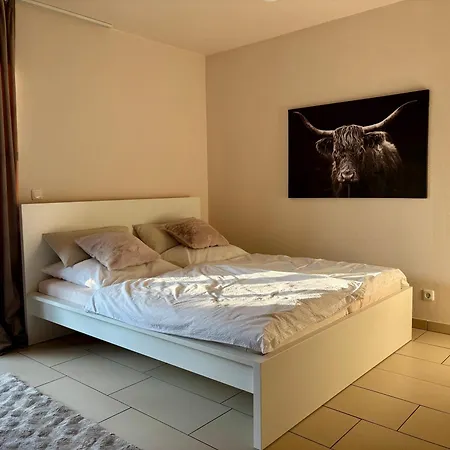Apartamento Runway In Ratisbona